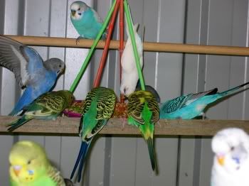 babiesdayout005.jpg