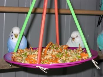 birdsinaviary017.jpg