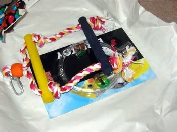 blinkies1stbday006.jpg