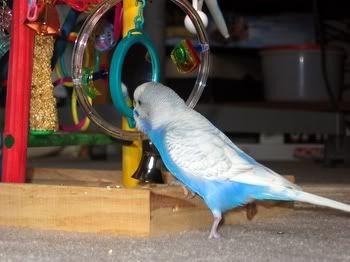 blinkies1stbday009.jpg