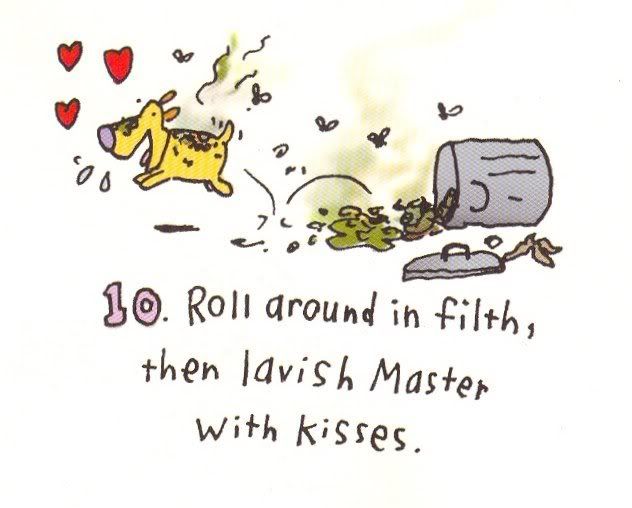 amores perros dog. Who Let The Dogs Out,