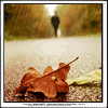 autumnrain.gif
