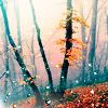 autumnrain.jpg
