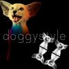 doggystyle.jpg