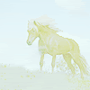 horse.gif