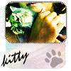 kitty.gif