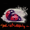 ladybug.gif