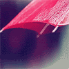 rainumbrella.gif