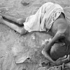 starvation4.gif