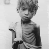 starvation8.gif