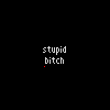 stupidbitch.gif