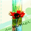 summerpic.gif