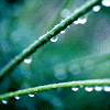 voda3.gif