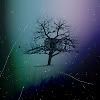 wintertree.jpg
