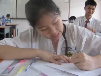 Image hosting by Photobucket