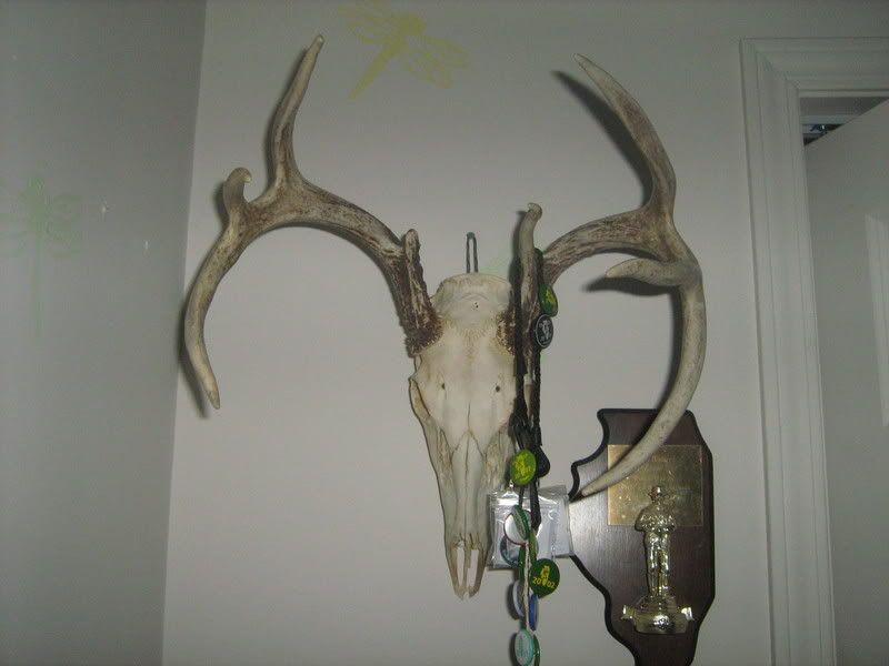 trophyroompics009.jpg