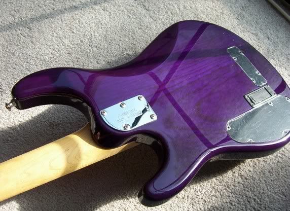 purplesterlingback.jpg