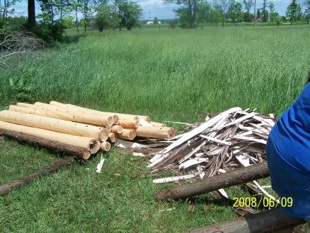 Skinnin Cedars - Homesteading Questions