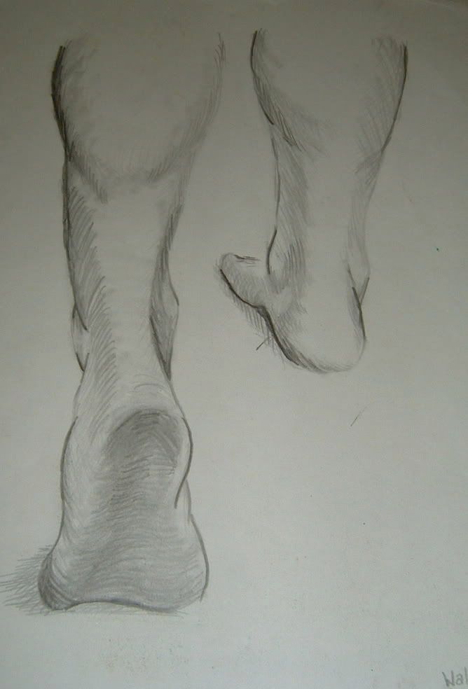 walking feet