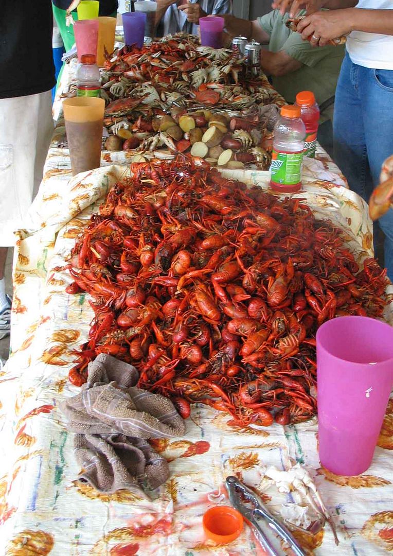 crawfish-and-crabs-2opt.jpg