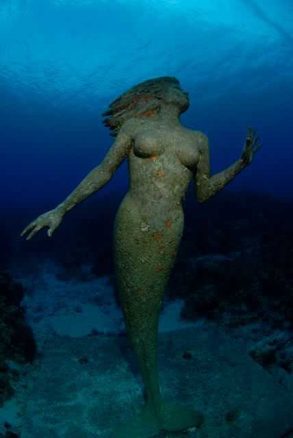 Mermaid4a.jpg