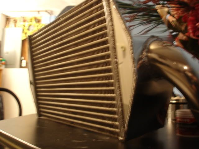DSC07642.jpg