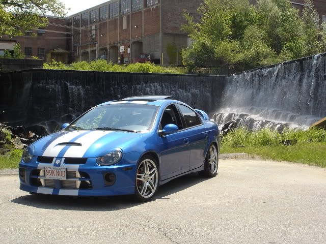 Spring08052.jpg