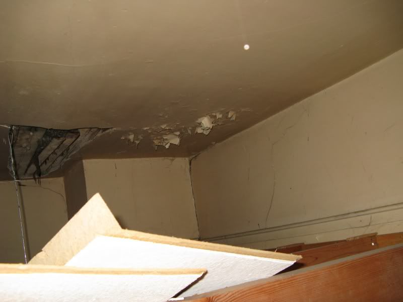 Ohw View Topic How To Fix Plaster Ceiling With Hole