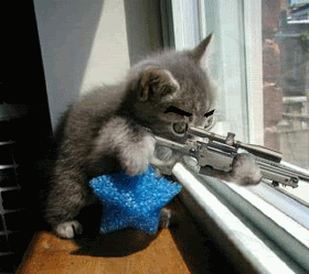 Cat With Gun Animation