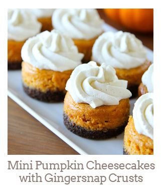 ”Mini Pumpkin Cheesecakes with Gingersnap Crusts”