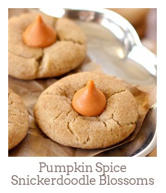”Pumpkin Spice Snickerdoodle Blossomss”
