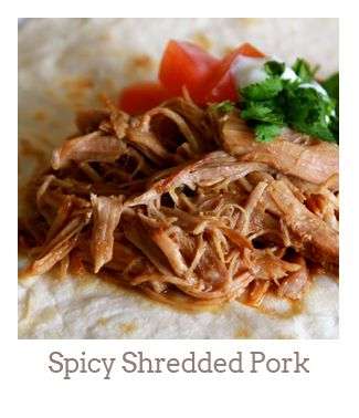 ”Spicy Shredded Pork”