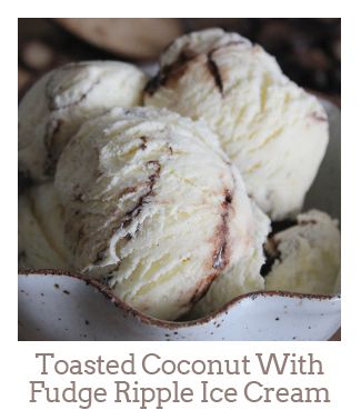 ”Toasted Coconut With Fudge Ripple Ice Cream”