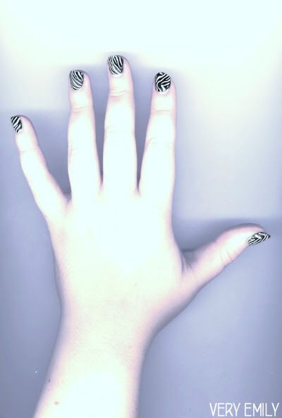 zebra2
