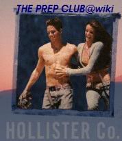 <img:http://i25.photobucket.com/albums/c84/SweetBrunette00/my%20shitz%20cracker%2001/Hollister.jpg>