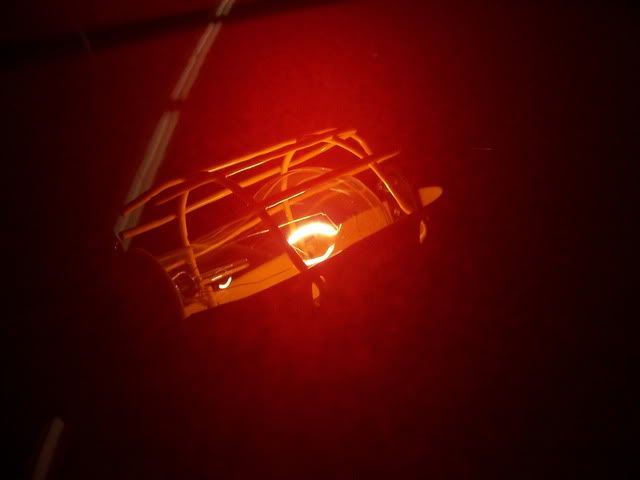 101_3996.jpg