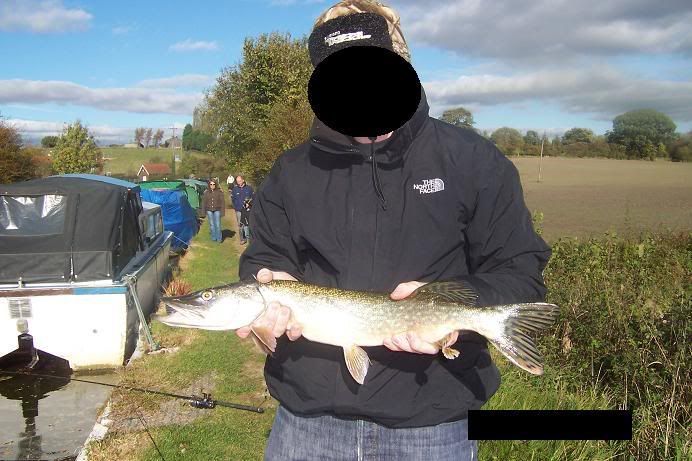 pike01.jpg