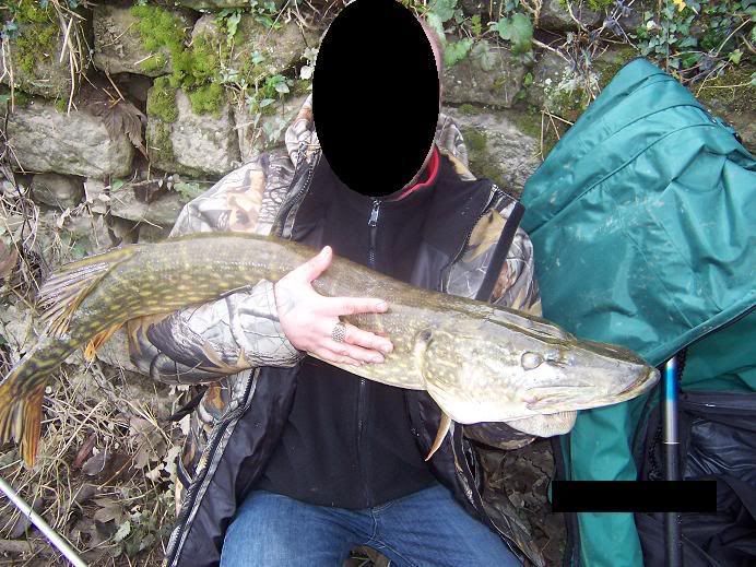 pike02.jpg