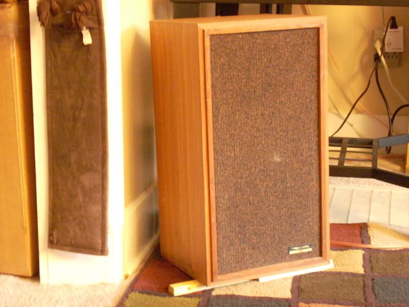 Vintage Realistic Speakers