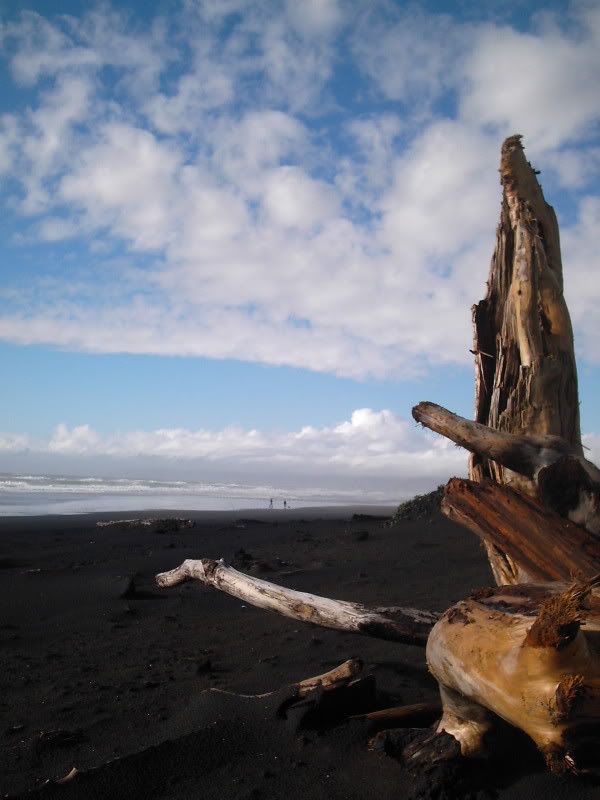 drift wood prayer