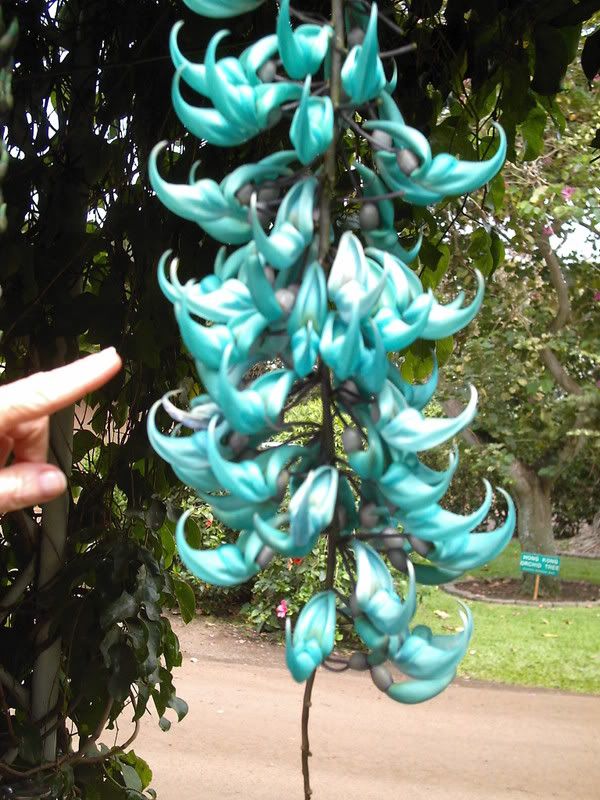 such a twist on plants