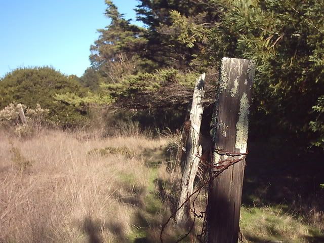 rusty barb wire on a post