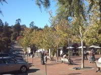 Lytton Square