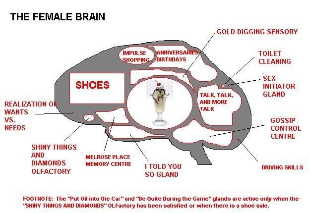 Charting the female mind