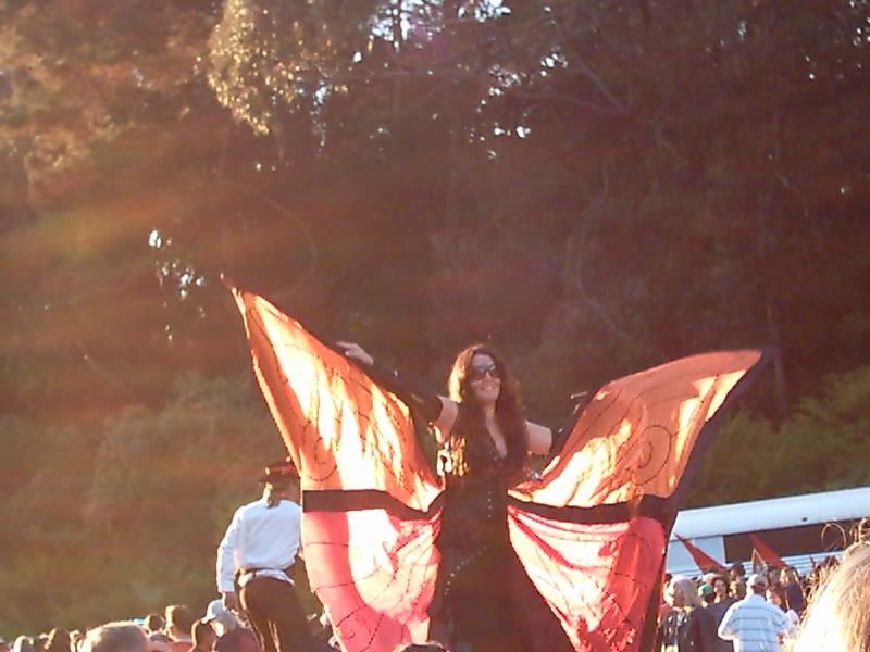 Butterfly Babe