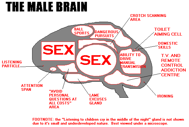 mapping of male behavior sites