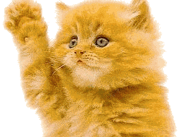waving kitty
