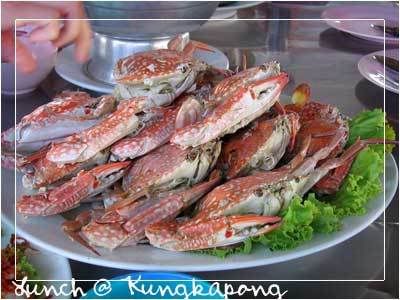 Happy Trip Fisherman s village