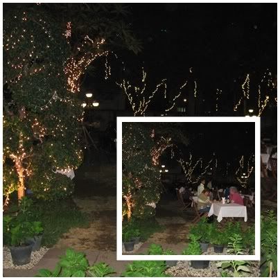 Secret Garden