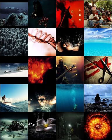 cool d image